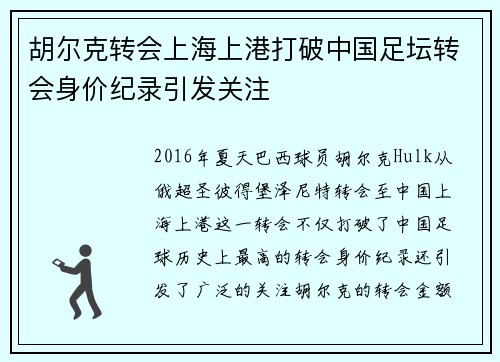 胡尔克转会上海上港打破中国足坛转会身价纪录引发关注