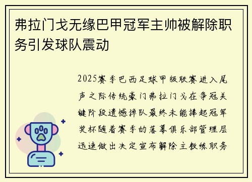 弗拉门戈无缘巴甲冠军主帅被解除职务引发球队震动 弗拉门戈无缘巴甲冠军主帅被解除职务引发球队震动
